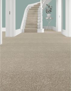 hallway twist carpet